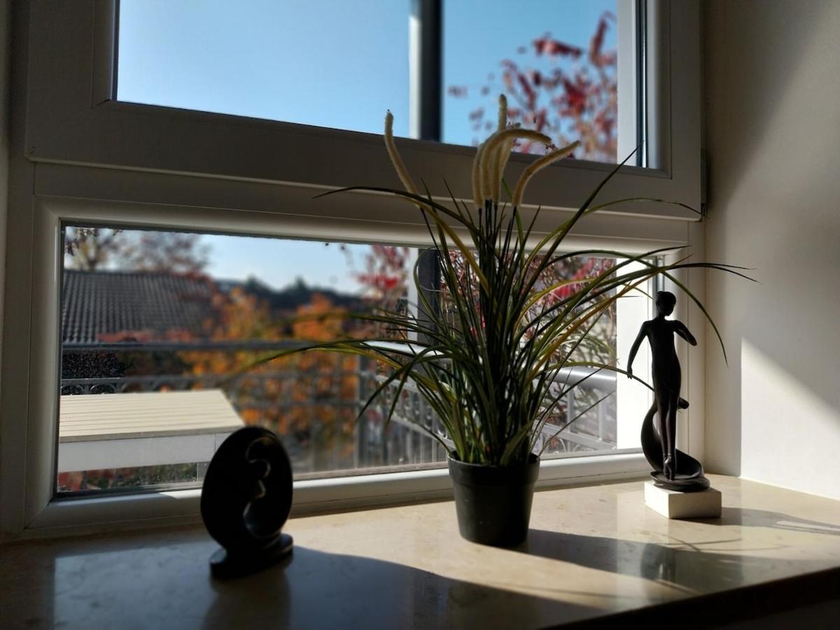 Bad Aibling City Apartment - Alpenblick المظهر الخارجي الصورة